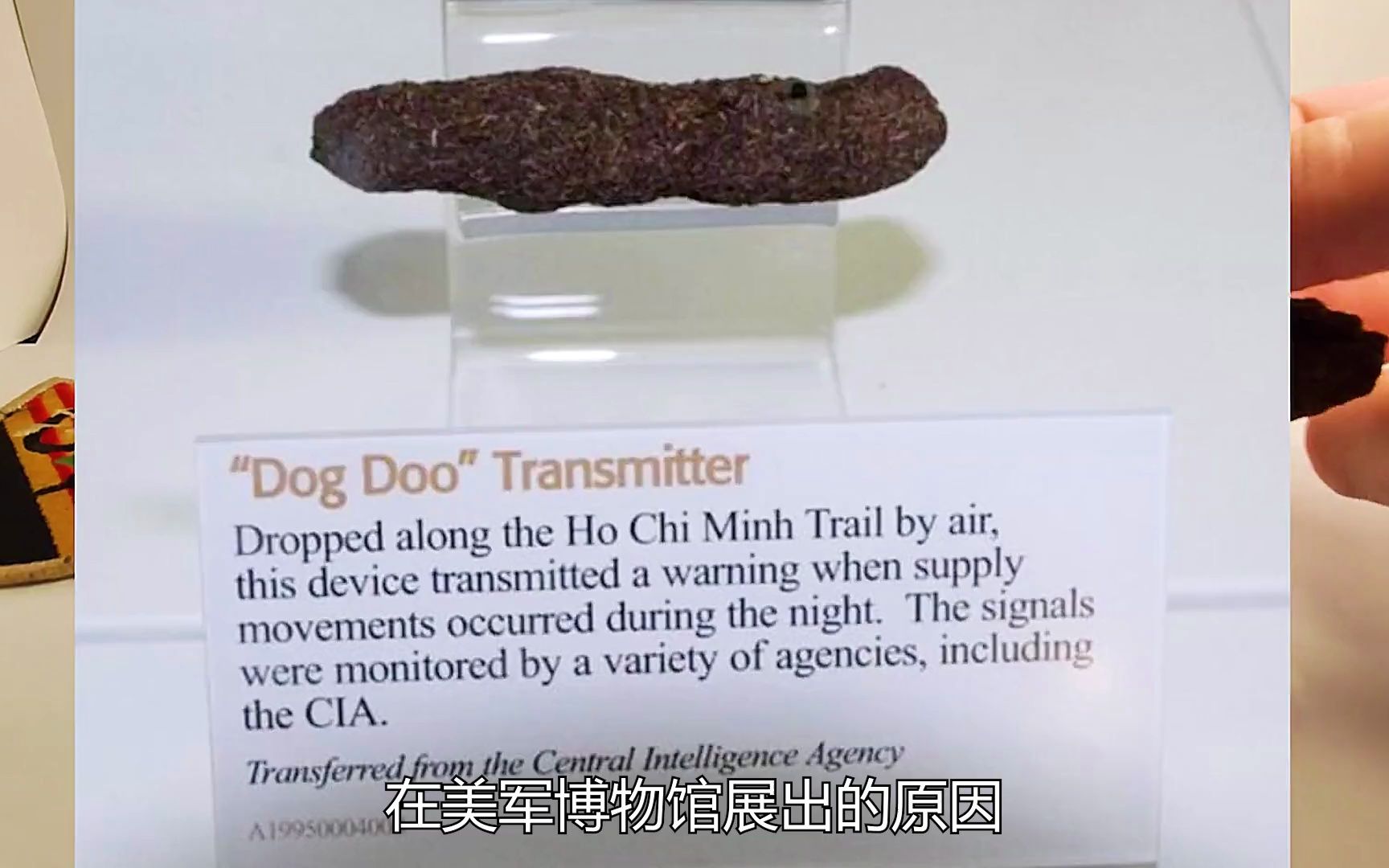 美国神秘的“大便武器”T1151狗粪发射器，中情局的伪装代表作！
