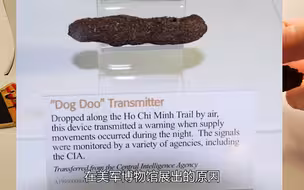 美国神秘的“大便武器”T1151狗粪发射器，中情局的伪装代表作！