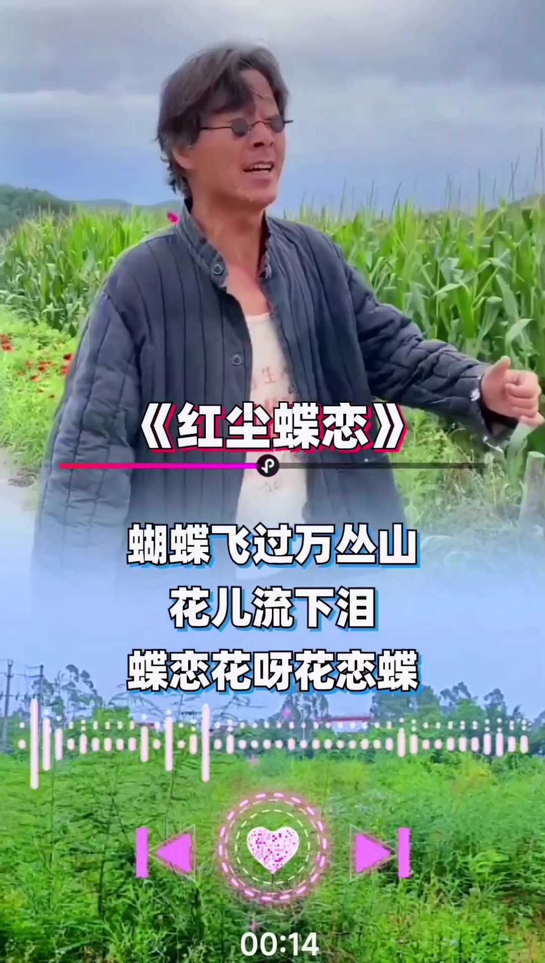 红尘蝶恋 #音乐分享