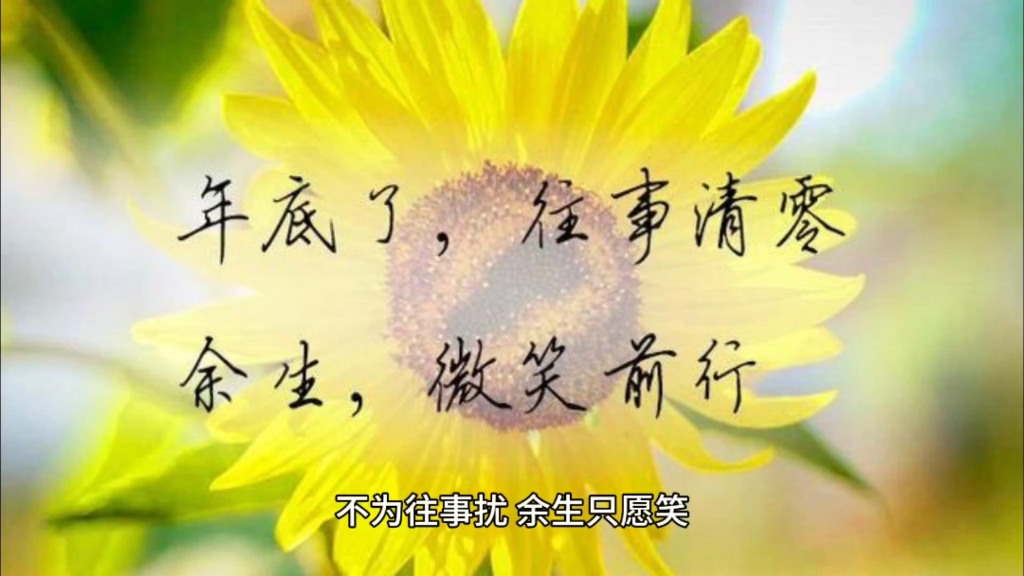 不为往事扰,余生只愿笑