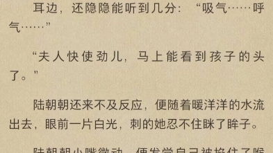 [图]《奶娃朝朝》《陆朝朝 陆泽远》《穿书炮灰我靠心声拯救全家》陆朝朝