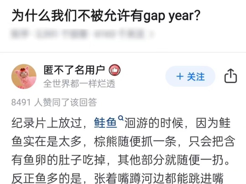 为什么我们不被允许有gap year?哔哩哔哩bilibili