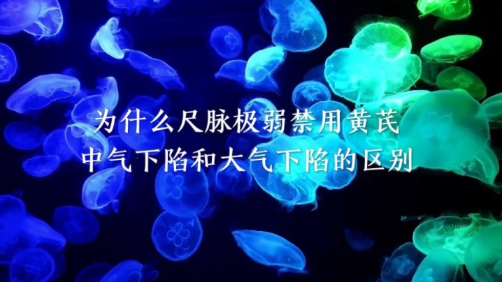 大气下陷与中气下陷的区别哔哩哔哩bilibili