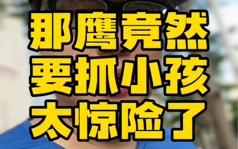 那鹰竟然想抓小孩?实在是太惊险了𐟙哔哩哔哩bilibili