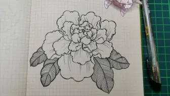 线描画鱼 哔哩哔哩 Bilibili