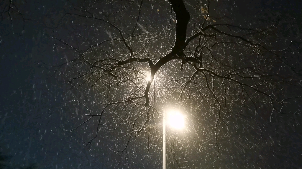 用华为nova手机拍摄雪夜风景
