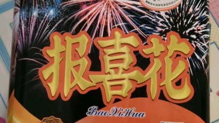 中洲烟花 20发报喜花