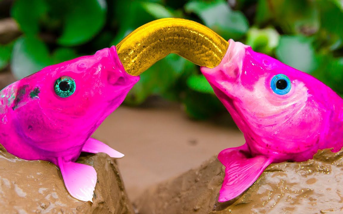 粉色的鲤鱼夫妇吃鳗鱼,鲶鱼,青鱼下蛋,有趣好玩的在泥地对决!