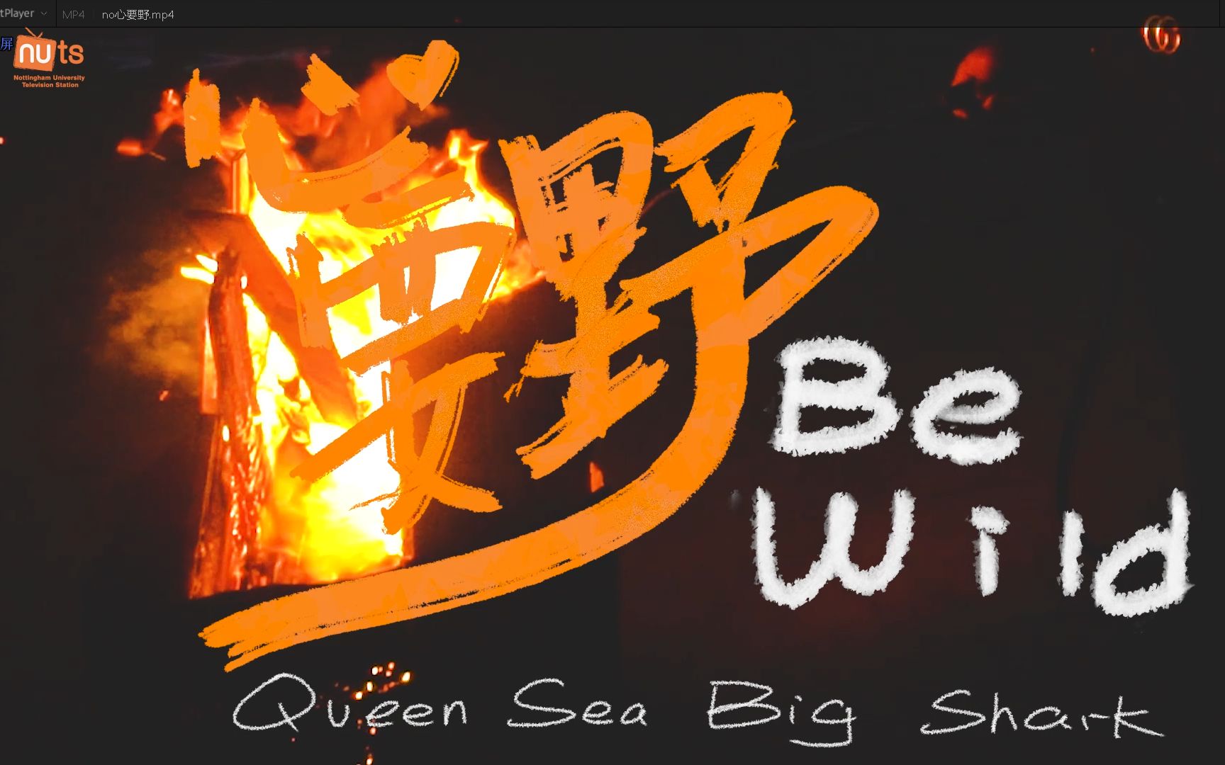 nutsetnotunesvol26心要野bewild