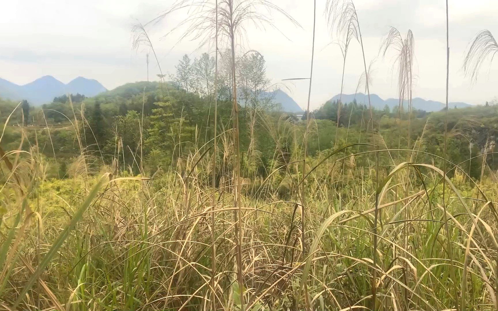 [图]湖北风水宝地航拍，龙脉穿田渡水，朝山万峰献秀