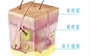 下载视频: 什么样的伤口会留疤？