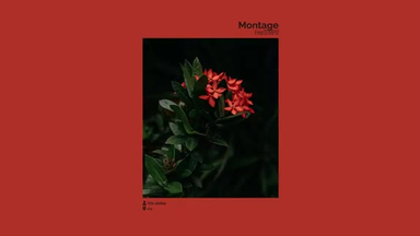 专辑]山根麻衣Mai Yamane – The Day Before Yesterday(1984)_哔哩哔哩_