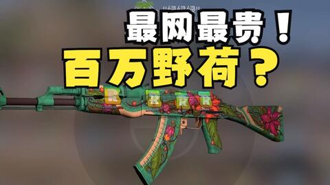 CS:GO AK47, 野荷