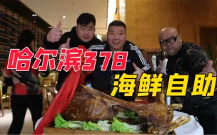 Video herunterladen: 哈尔滨顶级海鲜自助378一位，烤全羊，澳洲大龙虾随意吃，太爽了