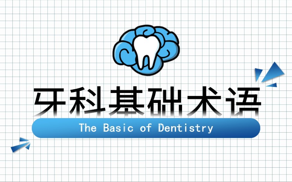 [图]【口腔医学僧适用】牙科基础术语The Basic of Dentistry