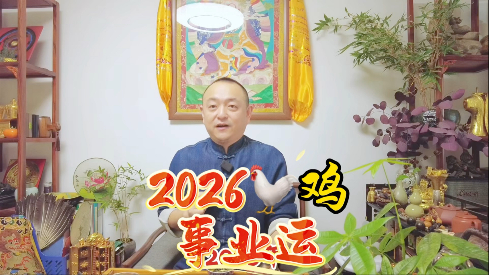麦玲玲鼠年生肖鸡运势(麦玲玲2021年运程属鸡运程)