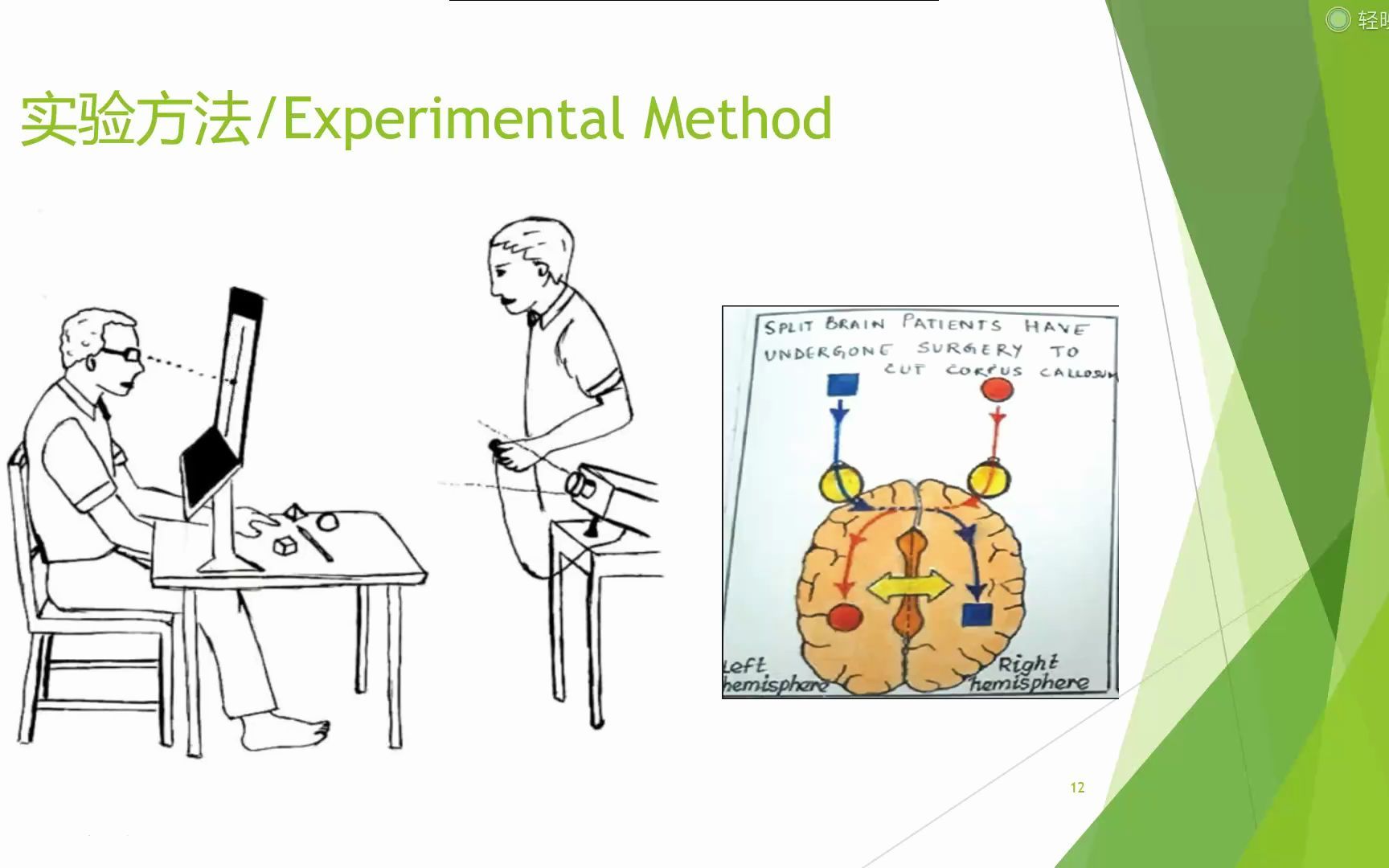 [图]1.裂脑人实验 Split Brain. 改变心理学的40项研究 中文版