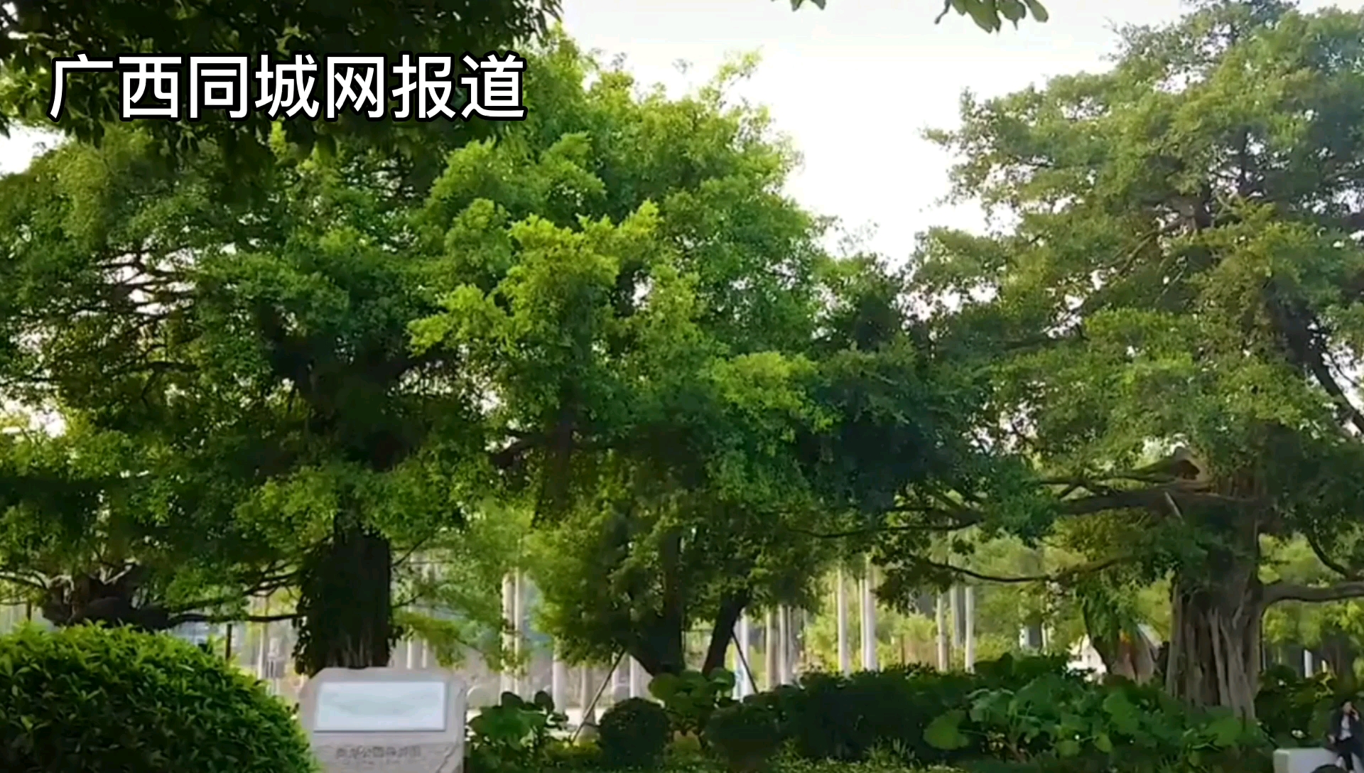 南宁一天可以去哪些地方玩哔哩哔哩bilibili