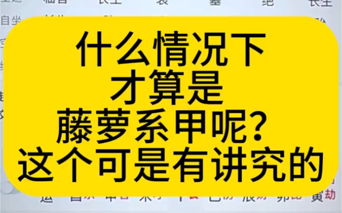 八字什么情况下才算藤萝系甲呢?这个可是有讲究的哔哩哔哩bilibili