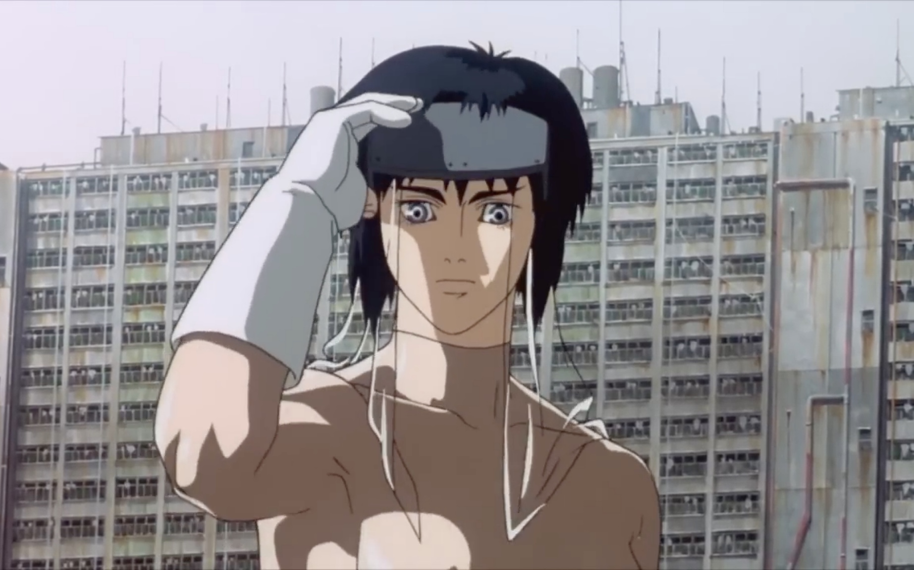 [图]AMV - Ghost in the Shell (1995) - "Inner Universe"