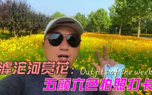 下载视频: 石家庄滹沱河的花都开放啦，这个周末快来拍照打卡吧