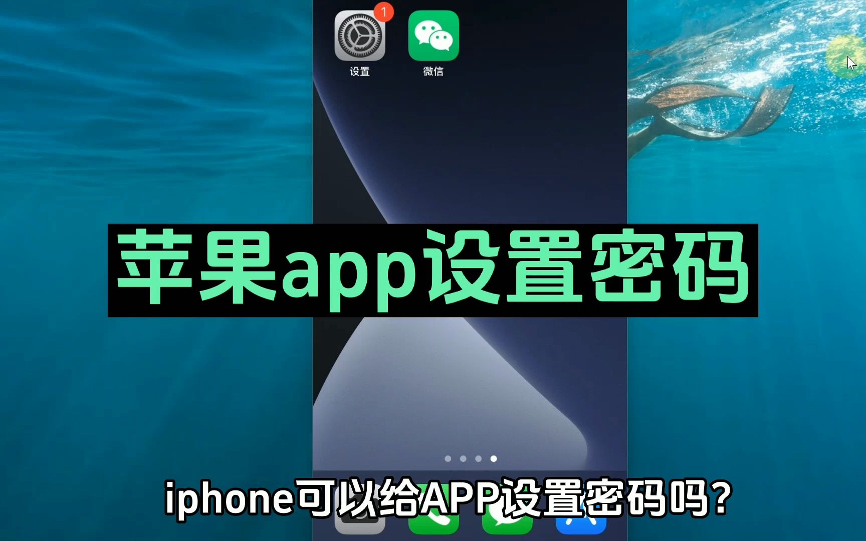 怎么给苹果app设置密码