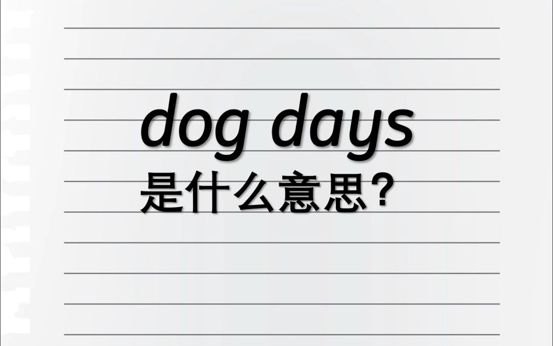 Dog days是什么意思?哔哩哔哩bilibili