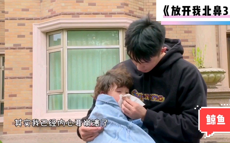 【黄景瑜&豪豪】豪哥瑜弟互动剪辑5【放开我北鼻第三季】