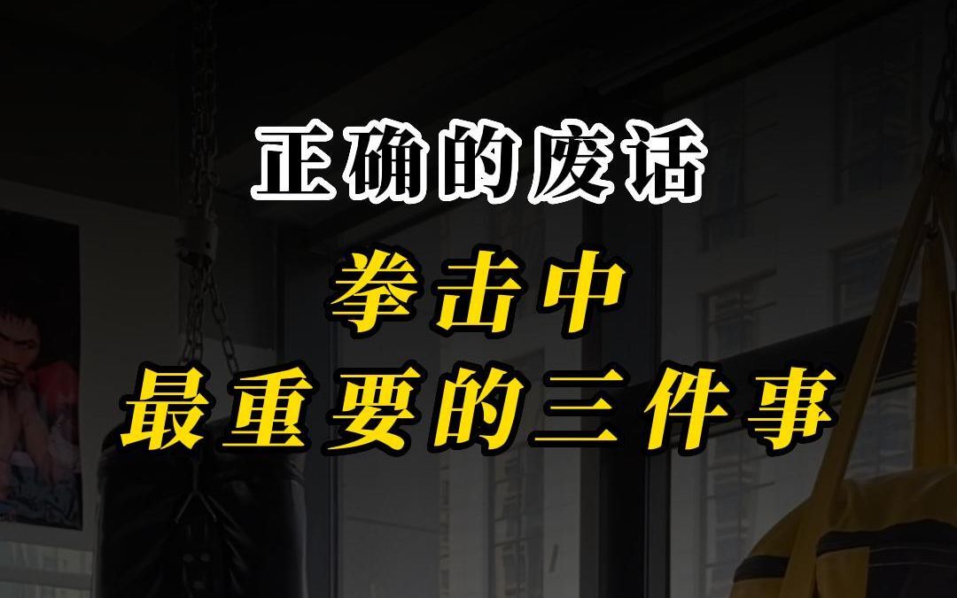 正确的废话 “拳击中最重要的三件事”哔哩哔哩bilibili