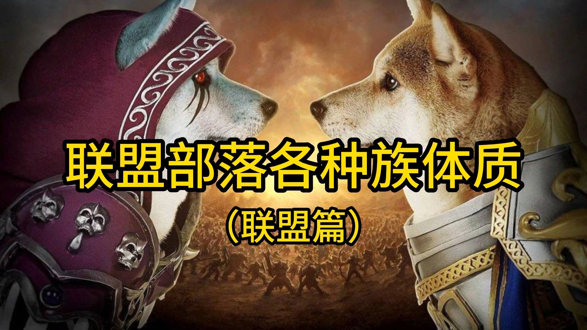 魔兽世界:联盟部落各种族体质