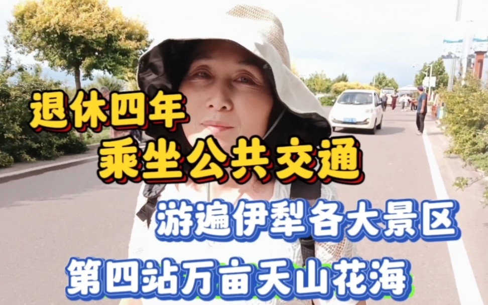 退休工资2600,不自驾不租车不包车,乘坐公共交通,游遍伊犁景区哔哩哔哩bilibili