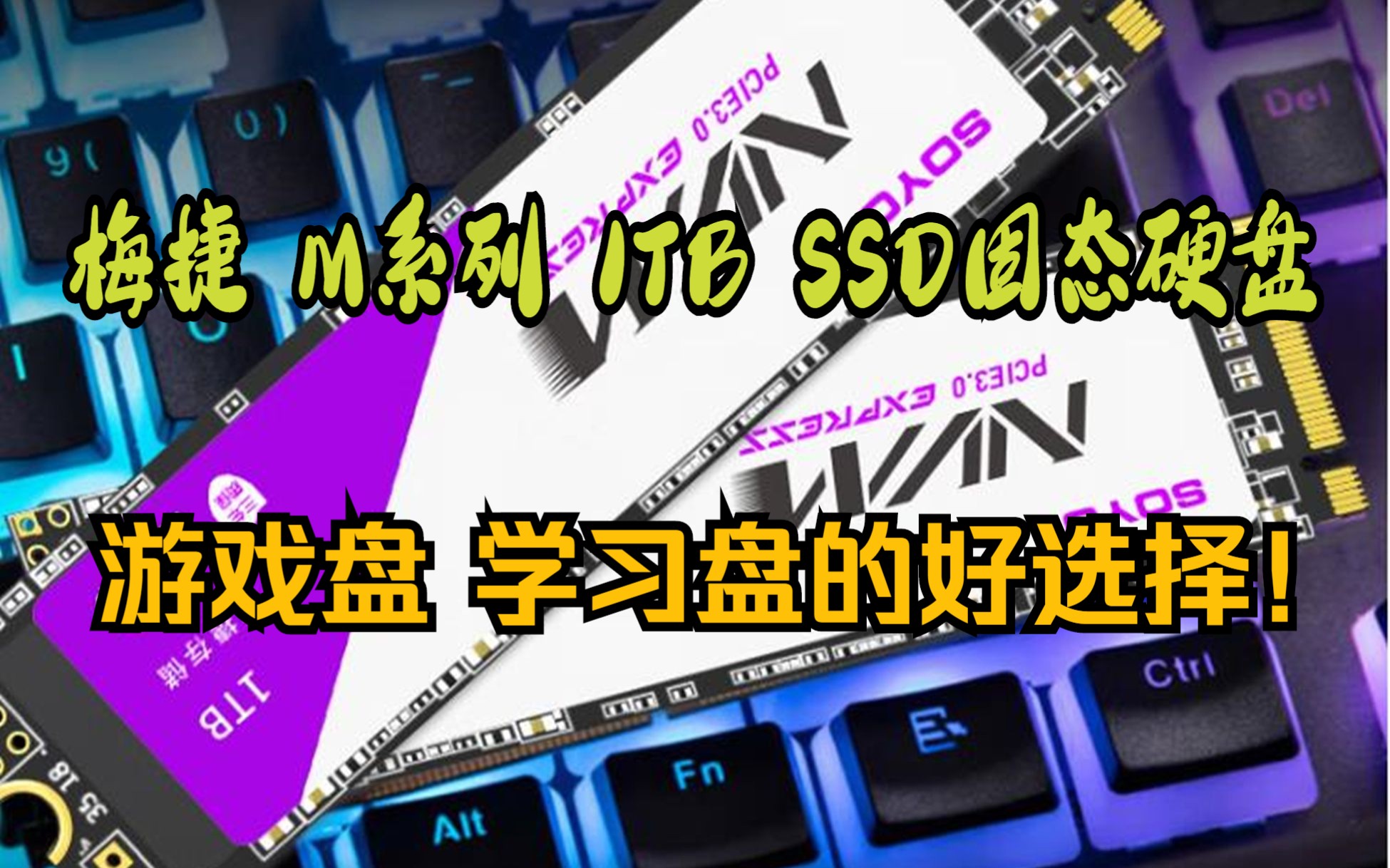 梅捷(SOYO) 1TB SSD固态硬盘 M.2接口 (NVMe协议)M系列 1TB 电竞娱乐 PCIe3.0 游戏固态硬盘哔哩哔哩bilibili