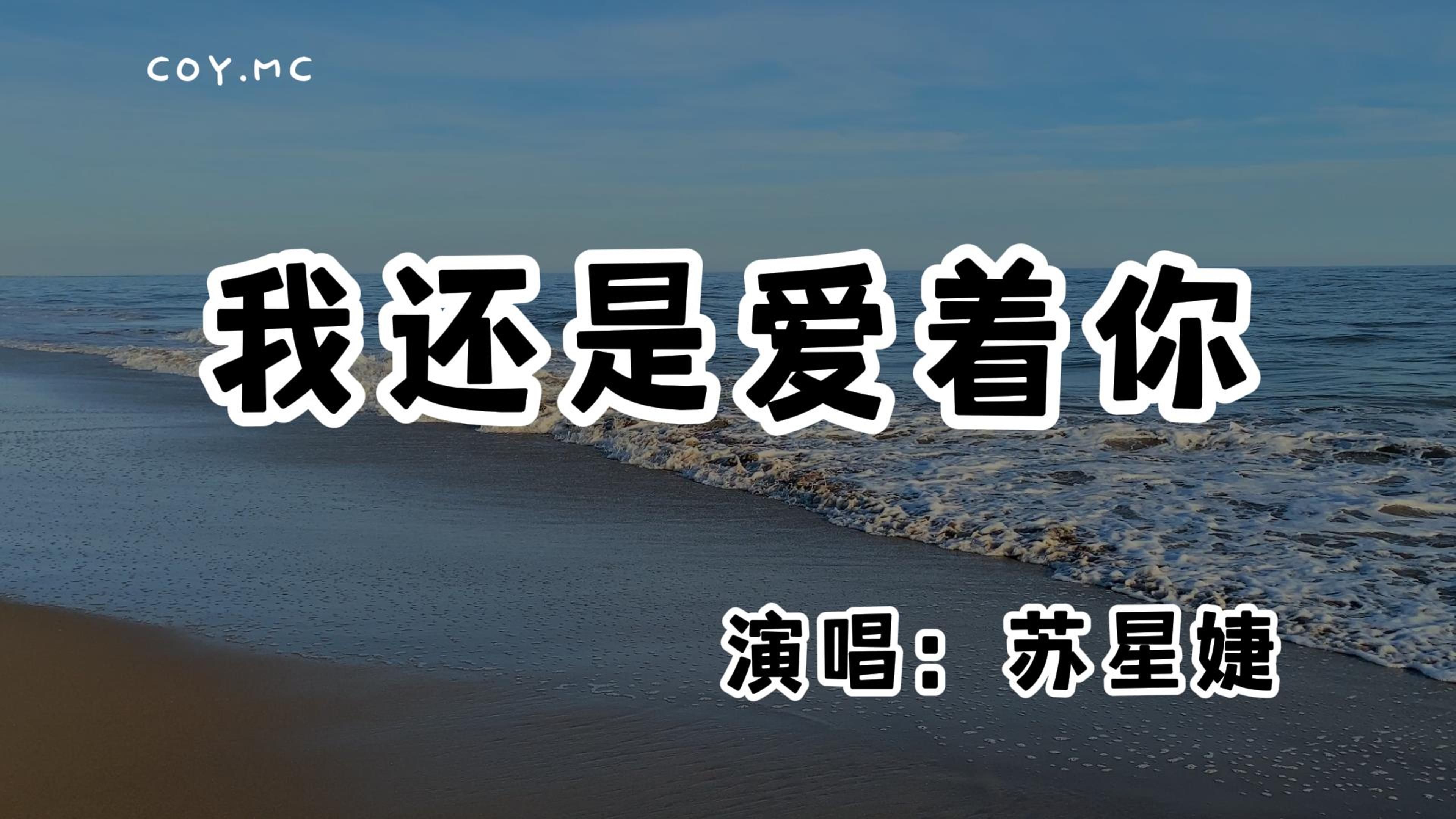 苏星婕  我还是爱着你『我还是爱着你像枯叶等风起』(动态歌词/Lyrics Video/无损音质/4k)哔哩哔哩bilibili