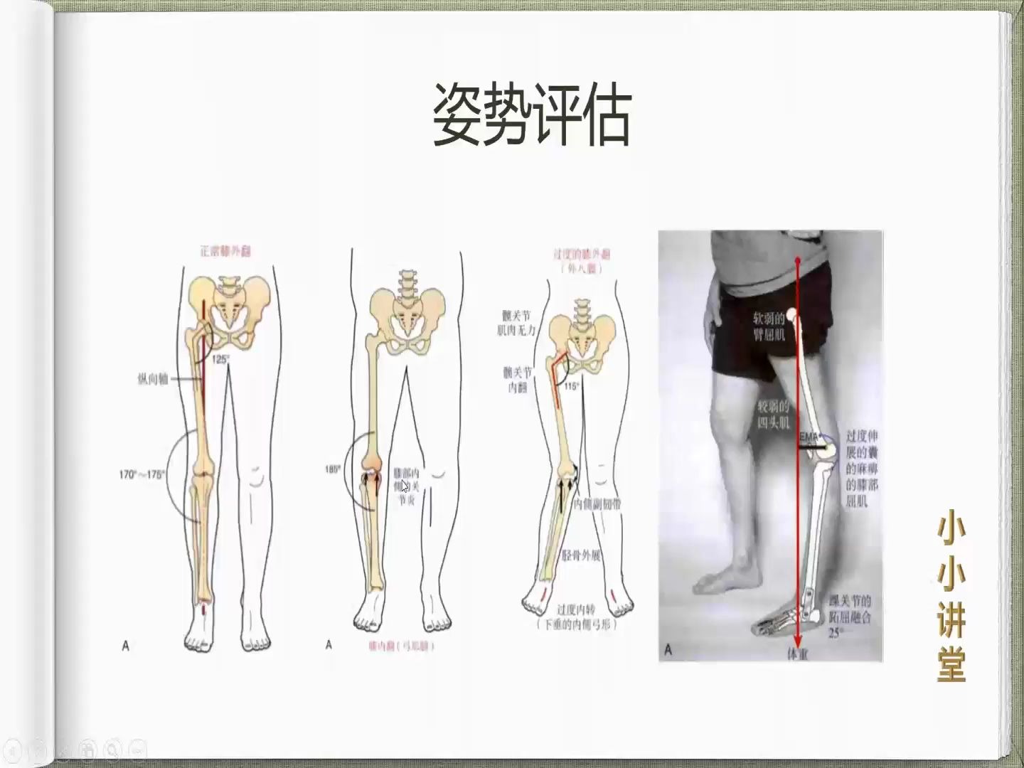 膝关节功能解剖哔哩哔哩bilibili