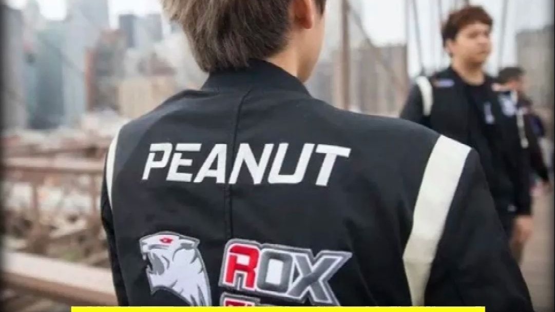 再见小花生,peanut 燃尽了「25英语四六级」