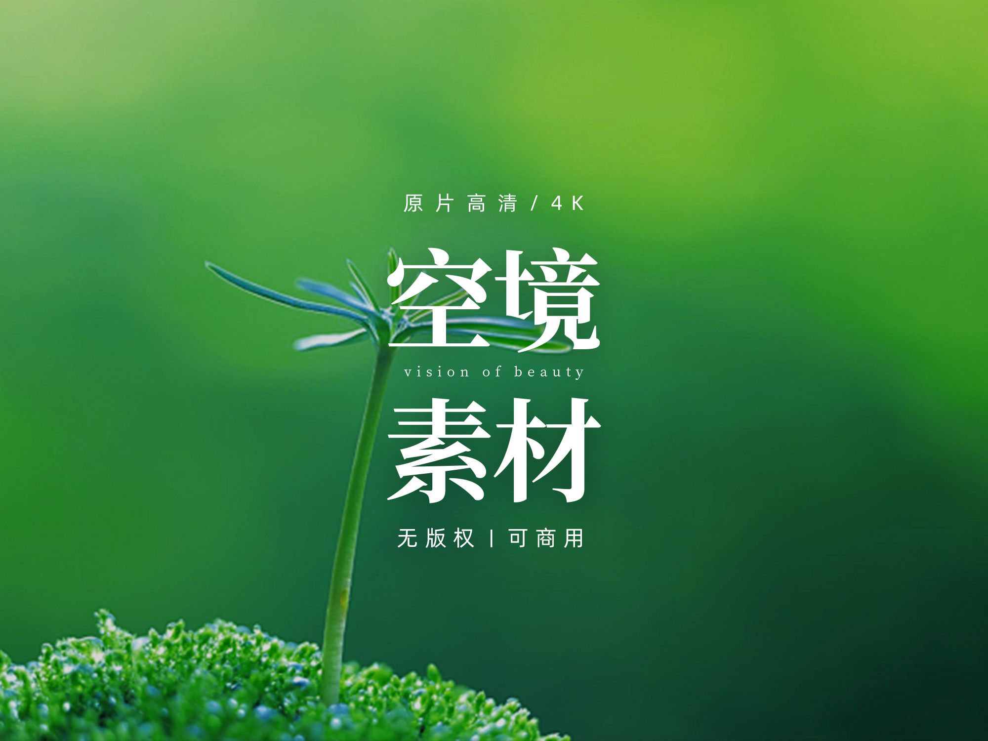 【免版权空镜】小草草地绿植植物视频素材哔哩哔哩bilibili