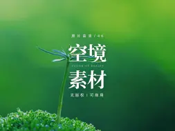 Download Video: 【免版权空镜】小草草地绿植植物视频素材