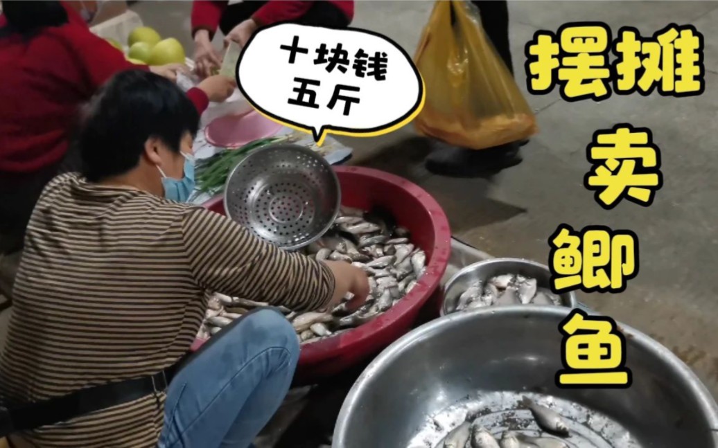 阿金擺攤賣魚,賺了幾百塊挺高興,還想把臍橙賣出來賣