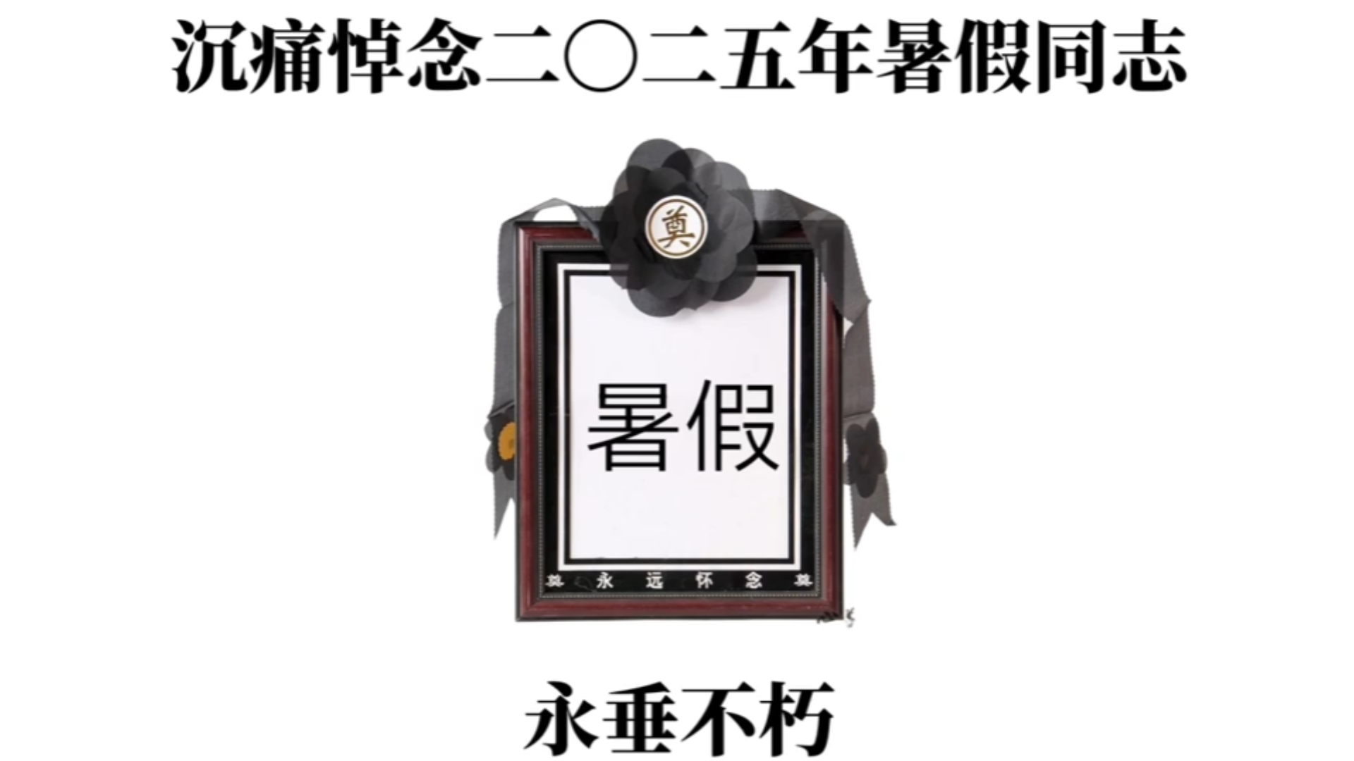 深痛悼念二〇二五年暑假同志