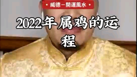 2022年属鸡的运程哔哩哔哩bilibili