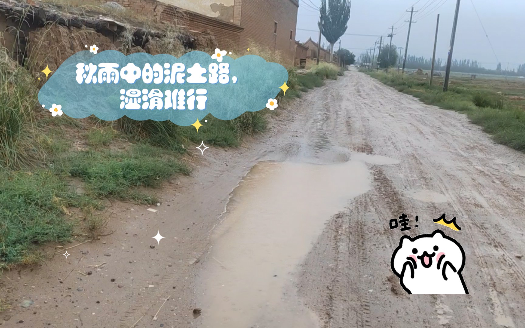 [图]秋雨中的泥土路，湿滑难行