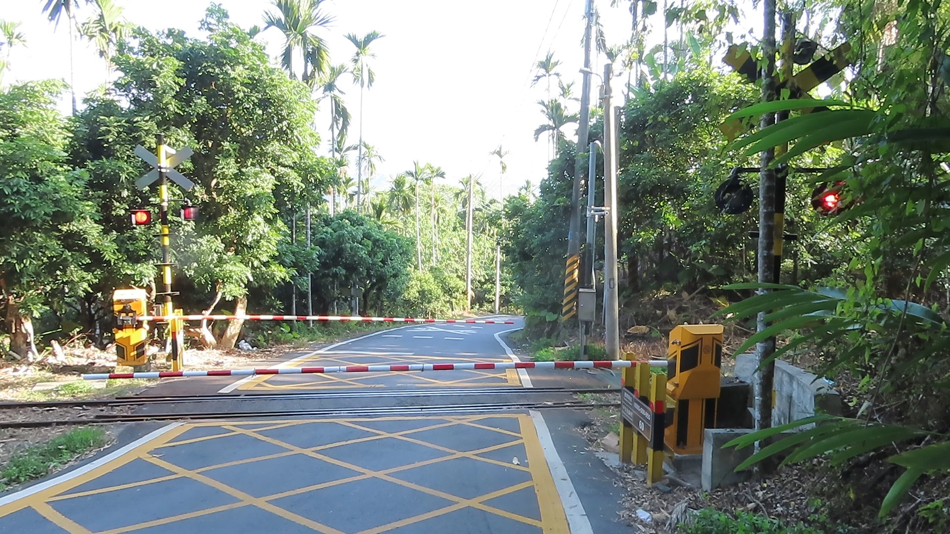 阿里山森林鐵路第60號平交道