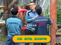 乃成紧锁眉头，修不完根本修不完，小五昨天想拆亭子，馆长今天就来定修补方案了