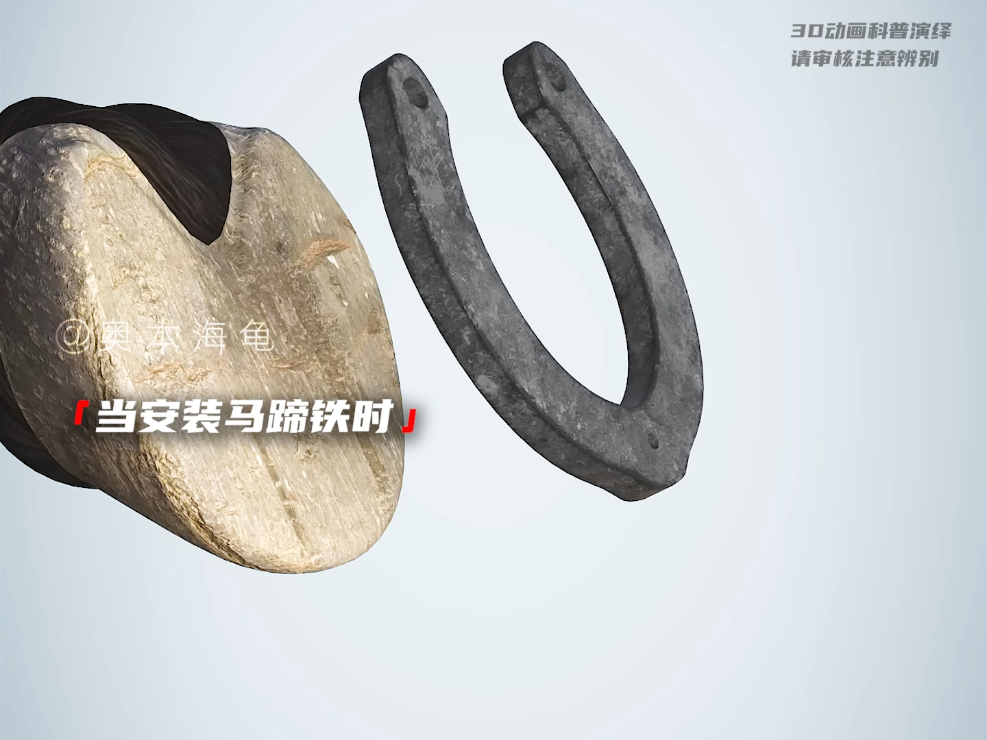 请问安装马蹄铁是牛疼还是马疼