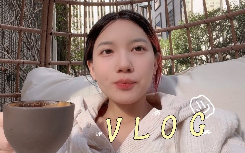 美国程序员vlog|互联网寒冬里的公司派对 面对裁员潮的想法和打算哔哩哔哩bilibili