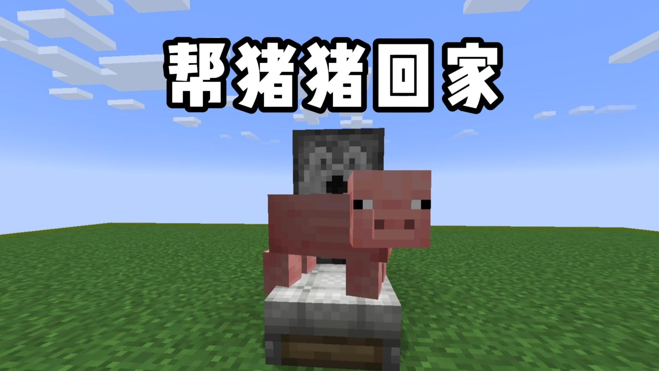 帮 猪 猪 回 家【MC科寄大赛】