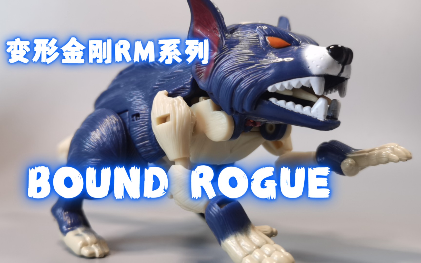 【第116期】Bound Rogue 幼獾rm系列07号哔哩哔哩bilibili