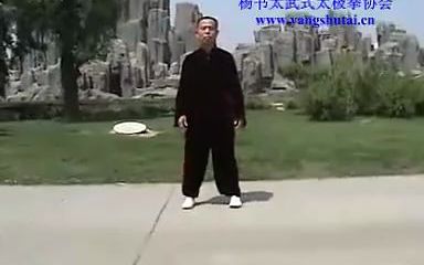 [图]杨书太武式太极拳108势