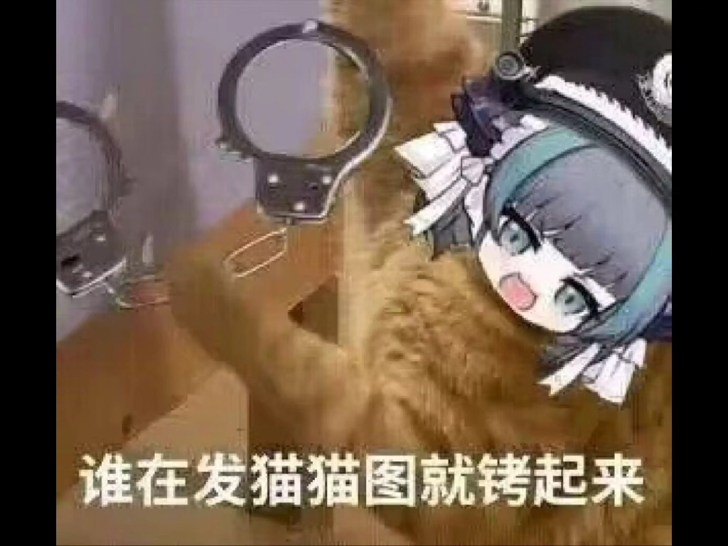 [图]柴郡猫猫表情包第六十期~