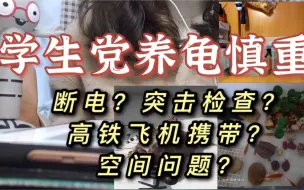 Download Video: 学生党养龟一定要慎重啊｜断电、突击检查、高铁飞机携带、空间布置